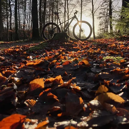 Silkeby Oda ve Kahvaltı 3*