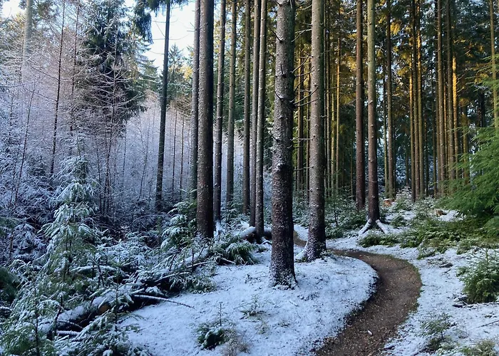 ベッド・アンド・ブレックファスト Silkeby